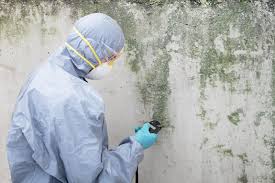 Best Water Damage & Mold Remediation  in North Liberty, IN